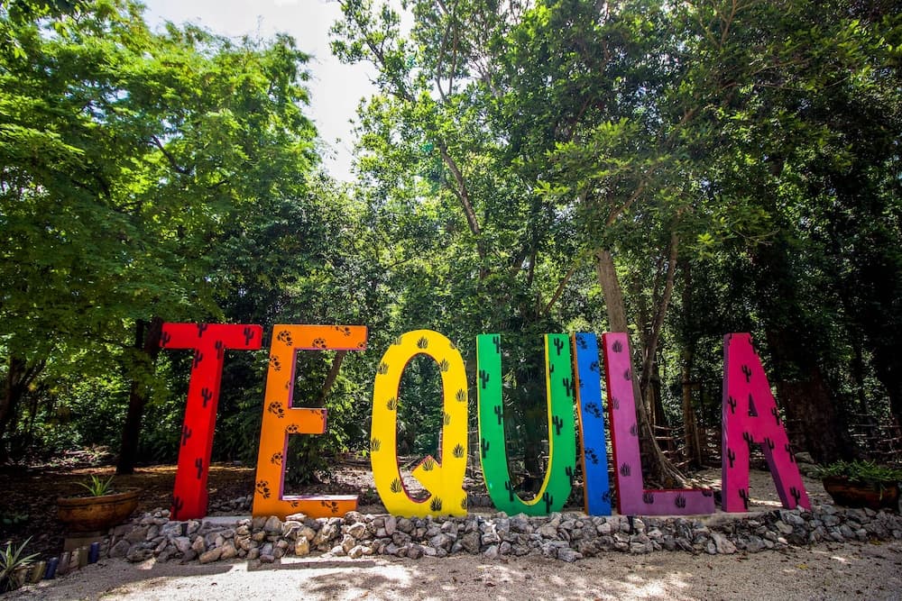 Hotel Hotel Tequila Cancun