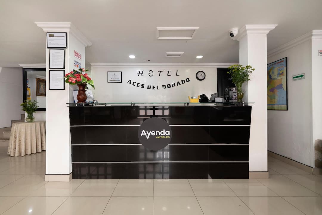 Hotel Hotel Dorado 100