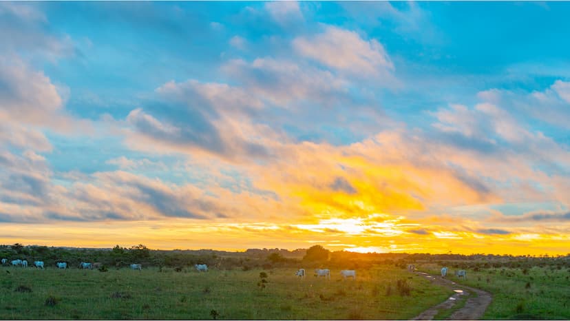 Llanos Orientales 5 Días